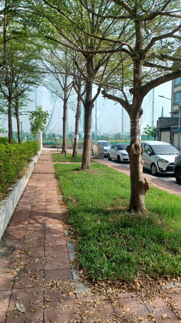 工程實績6-詳情圖片